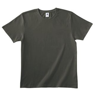 5.0オンス ベーシックスタイル Tシャツの画像01