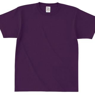 6.2オンス オープンエンド マックスウェイト Tシャツの画像07