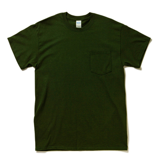 6.0 oz ウルトラコットンポケットTシャツの画像03