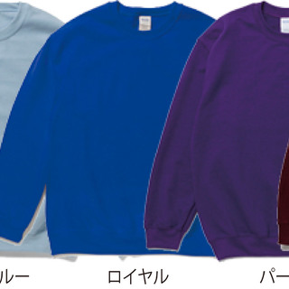 8.0 oz ヘビーブレンドスウェットシャツの画像04